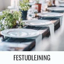 Festlig Reklam Klar Til Fest Festudlejning – Festudlejning og salg af festtilbehør