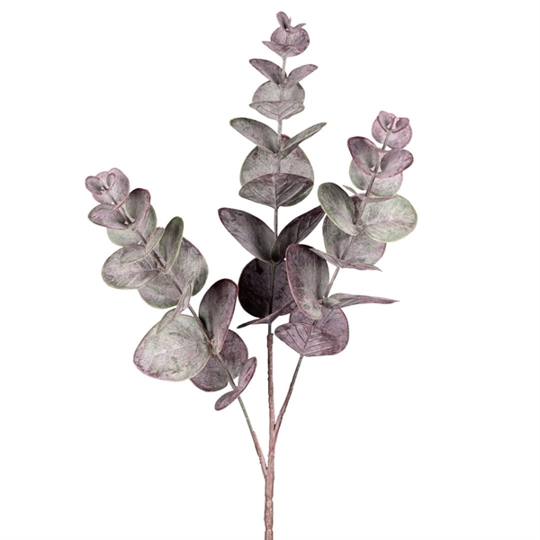 Eucalyptus gren Aubergine 50 cm. Kunstig flora